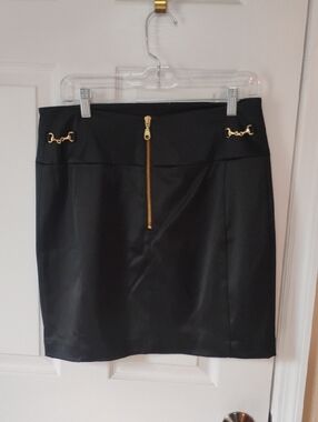 Express Design Studio Women's Size 10 Amazing Like New Lined Skirt